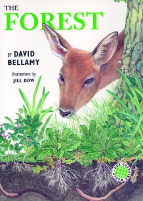 The Forest (Our Changing World)