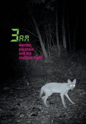 Image for 3am: Wonder, Paranoia and the Restless Night