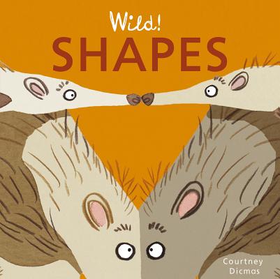 Wild! Shapes (Wild! Concepts)