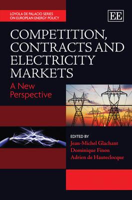Competition, Contracts and Electricity Markets: A New Perspective (Loyola de Palacio Series on European Energy Policy)