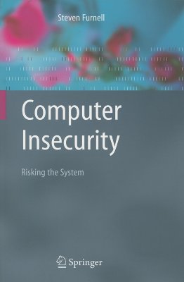 Computer Insecurity: Risking the System