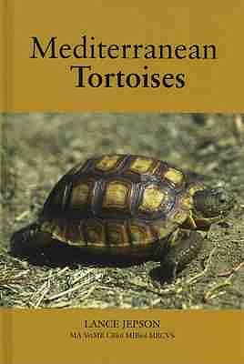 Mediterranean Tortoises
