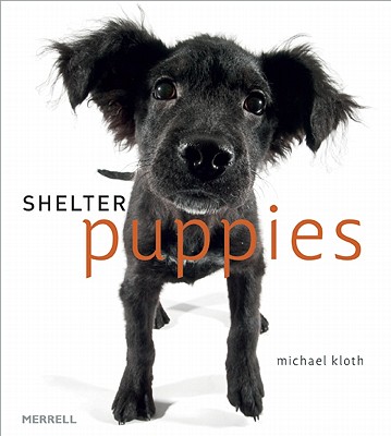 Image for Shelter Puppies
