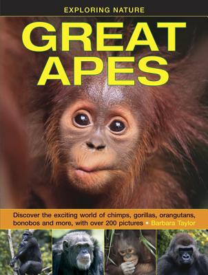 Image for Exploring Nature Great Apes: Discover the exciting world of chimps, gorillas, orangutans, bonobos and more
