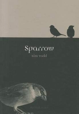 Sparrow (Animal)