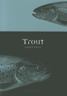 Trout (Animal)