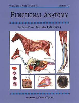Image for Functional Anatomy (Threshold Picture Guides) Functional Anatomy (Threshold Picture Guides)
