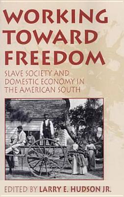Working Toward Freedom: Slave Society and Domestic Economy in the American South