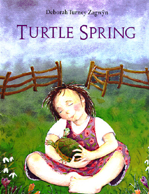 Image for Turtle Spring