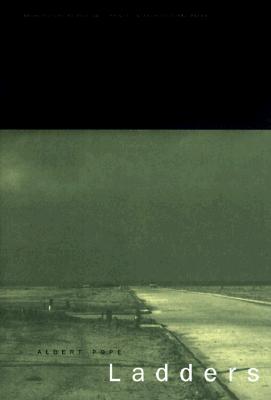 Ladders (Architecture at Rice, 34)