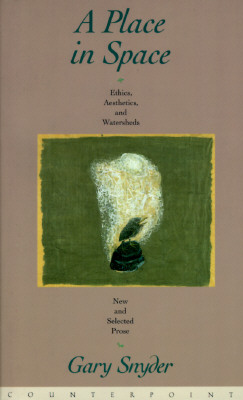 Image for A Place in Space: Ethics, Aesthetics, and Watersheds A Place in Space: Ethics, Aesthetics, and Watersheds