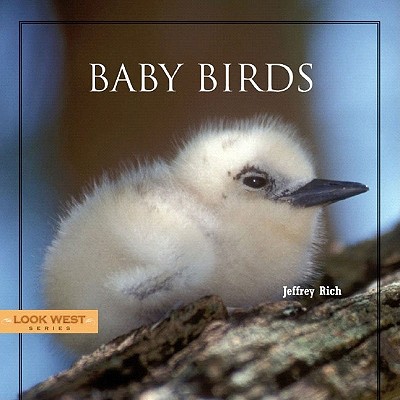 Baby Birds (Look West)