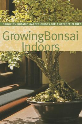 Image for Growing Bonsai Indoors Growing Bonsai Indoors