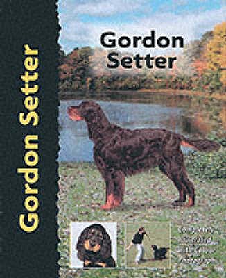 Gordon Setter