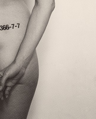 Fiona Banner: Performance Nude