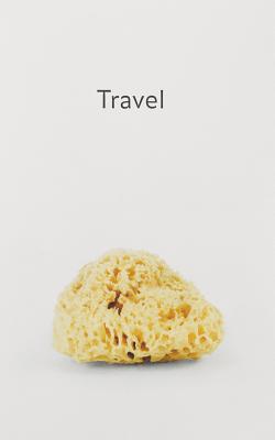 Haim Steinbach: Travel