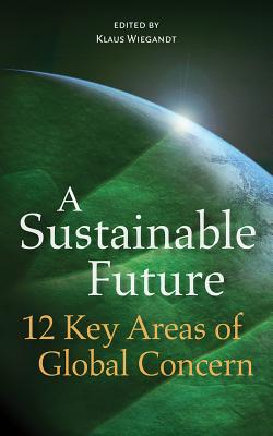 A Sustainable Future: 12 Key Areas of Global Concern