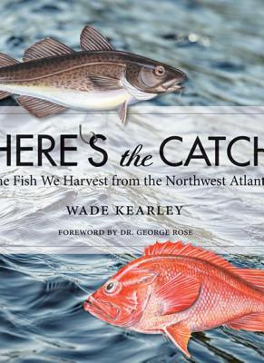 Here's the Catch: The Fish We Harvest from the Northwest Atlantic