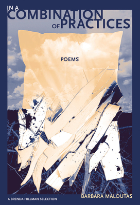 In a Combination of Practices (New Issues Poetry & Prose)