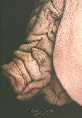 Photography Profile 2005