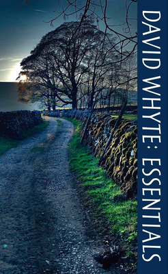 David Whyte: Essentials