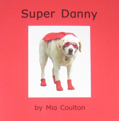 SuperDanny (Danny Returns)
