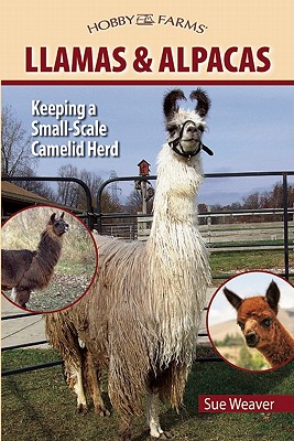 Llamas and Alpacas: Keeping a Small-Scale Camelid Herd