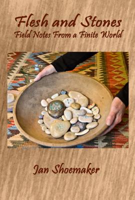 Flesh and Stones: Field Notes From a Finite World (Harmony Memoir Series)