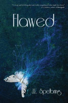 Flawed (2) (Perfection)
