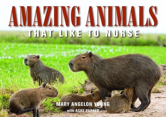 Amazing Animals: That Like to Nurse (Family and World Health)