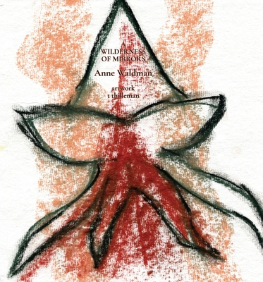 Wilderness of Mirrors