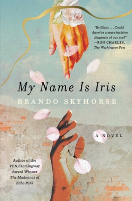 My Name Is Iris: A Novel