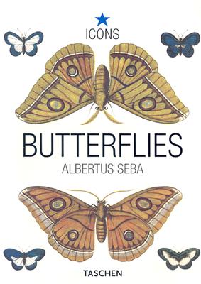 Seba, Butterflies