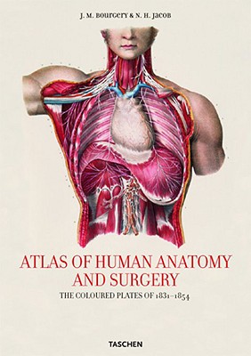 Atlas of Human Anatomy and Surgery: The Coloured Plates of 1831-1854