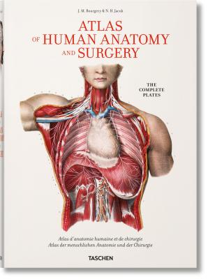 Image for Bourgery. Atlas of Human Anatomy and Surgery