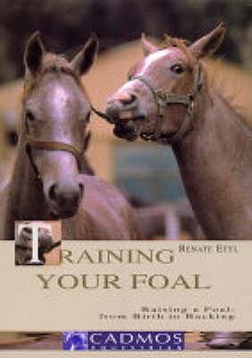 Training Your Foal: Raising a Foal: from Birth to Backing