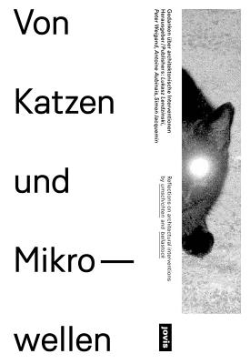 Of Cats and Microwaves: Reflections on Architectural Interventions