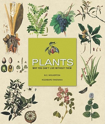 Plants: Why You Can't Live Without Them