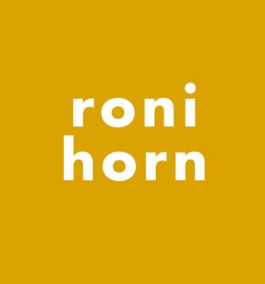 Roni Horn: Everything Was Sleeping as if the Universe Were a Mistake
