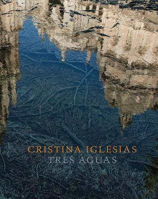 Cristina Iglesias: Tres Aguas (Arte y Fotografa)