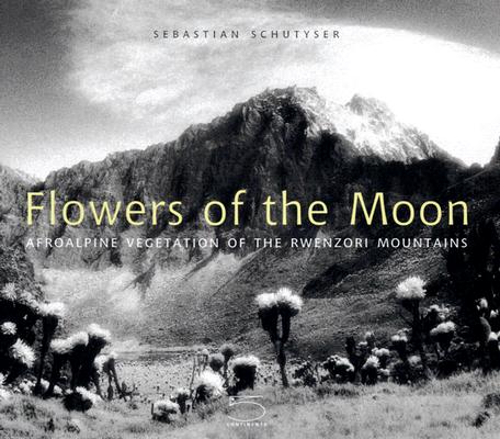 Flowers Of The Moon Afroalpine Veggetation Of The Rwenzori Mountains