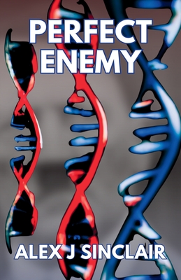 Perfect Enemy