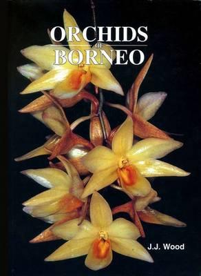 Orchids of Borneo Volume 3: Dendrobium, Dendrochilum and others