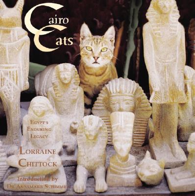 Cairo Cats